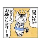 暑い暑い言ってる猫のスタンプ（個別スタンプ：27）