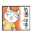 暑い暑い言ってる猫のスタンプ（個別スタンプ：35）