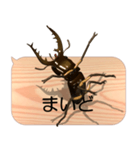スマホの上のミヤマクワガタ5《関西弁》（個別スタンプ：7）