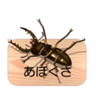 スマホの上のミヤマクワガタ5《関西弁》（個別スタンプ：12）