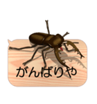スマホの上のミヤマクワガタ5《関西弁》（個別スタンプ：13）