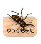 スマホの上のミヤマクワガタ5《関西弁》（個別スタンプ：17）
