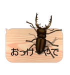 スマホの上のミヤマクワガタ5《関西弁》（個別スタンプ：20）