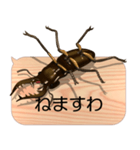 スマホの上のミヤマクワガタ5《関西弁》（個別スタンプ：24）