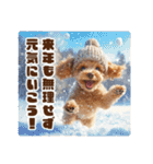 トイプードルのお正月スタンプ l 改訂版（個別スタンプ：16）