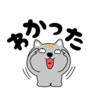 【デカ文字関西弁】ネコ三兄弟二郎27（個別スタンプ：9）