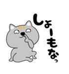 【デカ文字関西弁】ネコ三兄弟二郎27（個別スタンプ：19）