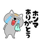 【デカ文字関西弁】ネコ三兄弟二郎27（個別スタンプ：26）