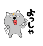 【デカ文字関西弁】ネコ三兄弟二郎27（個別スタンプ：31）