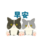 【台湾】毎日使えるハチワレコンビ【動く】（個別スタンプ：1）