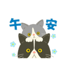 【台湾】毎日使えるハチワレコンビ【動く】（個別スタンプ：2）