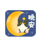 【台湾】毎日使えるハチワレコンビ【動く】（個別スタンプ：3）
