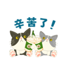 【台湾】毎日使えるハチワレコンビ【動く】（個別スタンプ：6）
