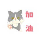 【台湾】毎日使えるハチワレコンビ【動く】（個別スタンプ：8）
