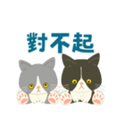 【台湾】毎日使えるハチワレコンビ【動く】（個別スタンプ：9）