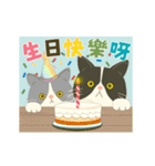 【台湾】毎日使えるハチワレコンビ【動く】（個別スタンプ：14）