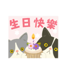 【台湾】毎日使えるハチワレコンビ【動く】（個別スタンプ：15）