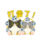 【台湾】毎日使えるハチワレコンビ【動く】（個別スタンプ：22）