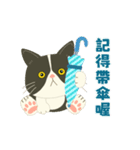 【台湾】毎日使えるハチワレコンビ【動く】（個別スタンプ：23）