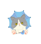 【台湾】毎日使えるハチワレコンビ【動く】（個別スタンプ：24）