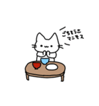 always ねこちゃん（個別スタンプ：12）