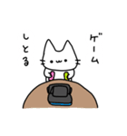 always ねこちゃん（個別スタンプ：17）