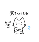 always ねこちゃん（個別スタンプ：21）
