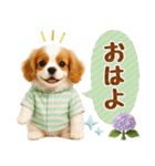 大人可愛いキャバリアで梅雨の気づかい敬語（個別スタンプ：2）