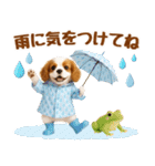 大人可愛いキャバリアで梅雨の気づかい敬語（個別スタンプ：6）