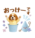 大人可愛いキャバリアで梅雨の気づかい敬語（個別スタンプ：9）