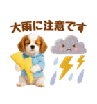 大人可愛いキャバリアで梅雨の気づかい敬語（個別スタンプ：14）