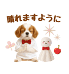 大人可愛いキャバリアで梅雨の気づかい敬語（個別スタンプ：15）