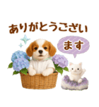 大人可愛いキャバリアで梅雨の気づかい敬語（個別スタンプ：18）