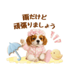大人可愛いキャバリアで梅雨の気づかい敬語（個別スタンプ：22）