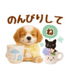 大人可愛いキャバリアで梅雨の気づかい敬語（個別スタンプ：24）