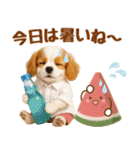 大人可愛いキャバリアで梅雨の気づかい敬語（個別スタンプ：34）