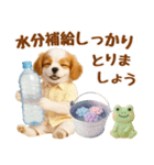 大人可愛いキャバリアで梅雨の気づかい敬語（個別スタンプ：35）
