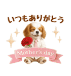 大人可愛いキャバリアで梅雨の気づかい敬語（個別スタンプ：39）