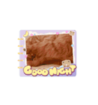 動くにゃん虎太郎（個別スタンプ：2）