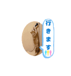 動くにゃん虎太郎（個別スタンプ：3）