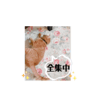 動くにゃん虎太郎（個別スタンプ：9）