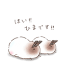 年末年始❤️ふわもちシマエナガ⑦❤️再販（個別スタンプ：24）