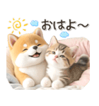 初夏♡ほんわか豆柴とネコ（個別スタンプ：1）