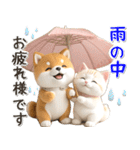 初夏♡ほんわか豆柴とネコ（個別スタンプ：11）