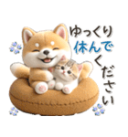 初夏♡ほんわか豆柴とネコ（個別スタンプ：12）