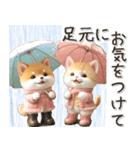 初夏♡ほんわか豆柴とネコ（個別スタンプ：17）