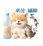 初夏♡ほんわか豆柴とネコ（個別スタンプ：22）