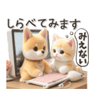 初夏♡ほんわか豆柴とネコ（個別スタンプ：26）