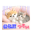 初夏♡ほんわか豆柴とネコ（個別スタンプ：29）