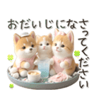 初夏♡ほんわか豆柴とネコ（個別スタンプ：30）